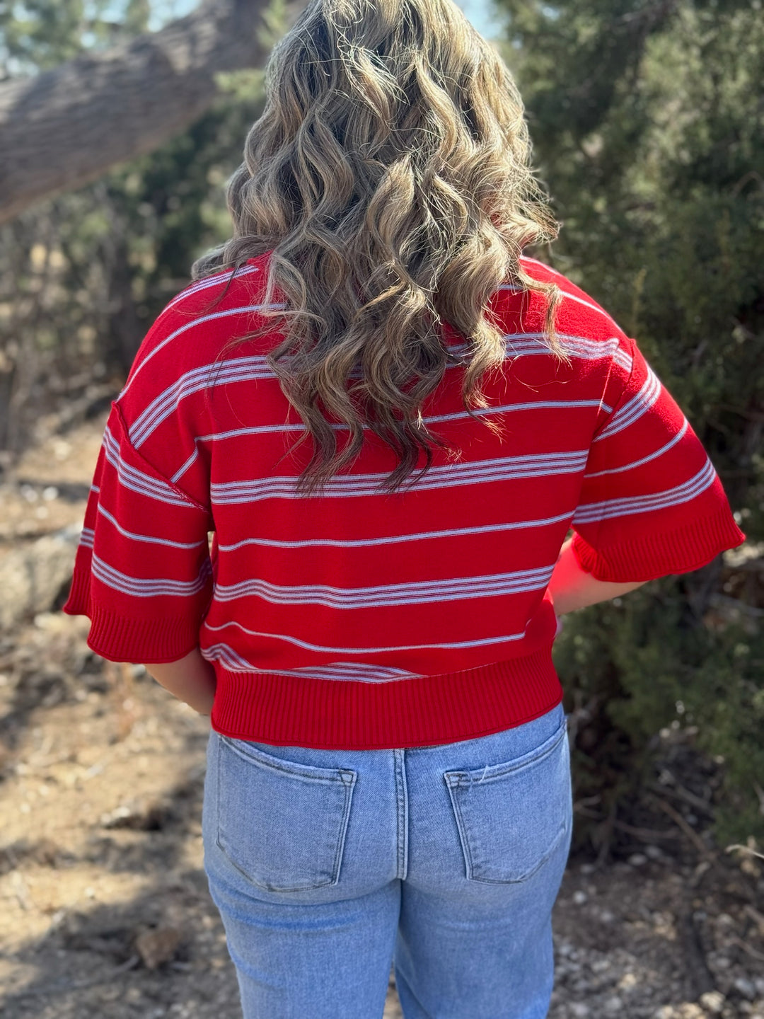 Jasmine Red & Blue Striped Sweater