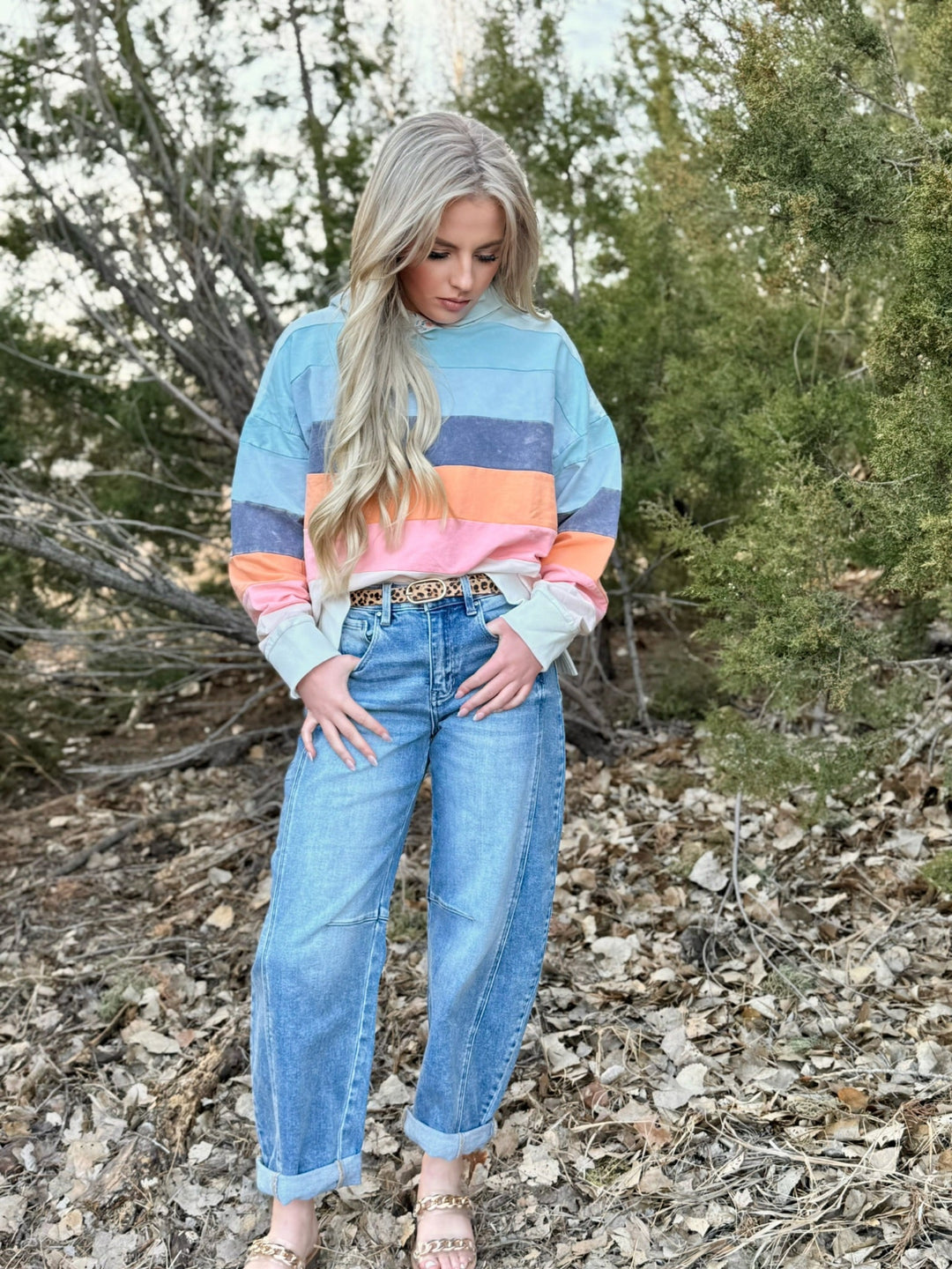 Painted Horizon Hooded Pullover