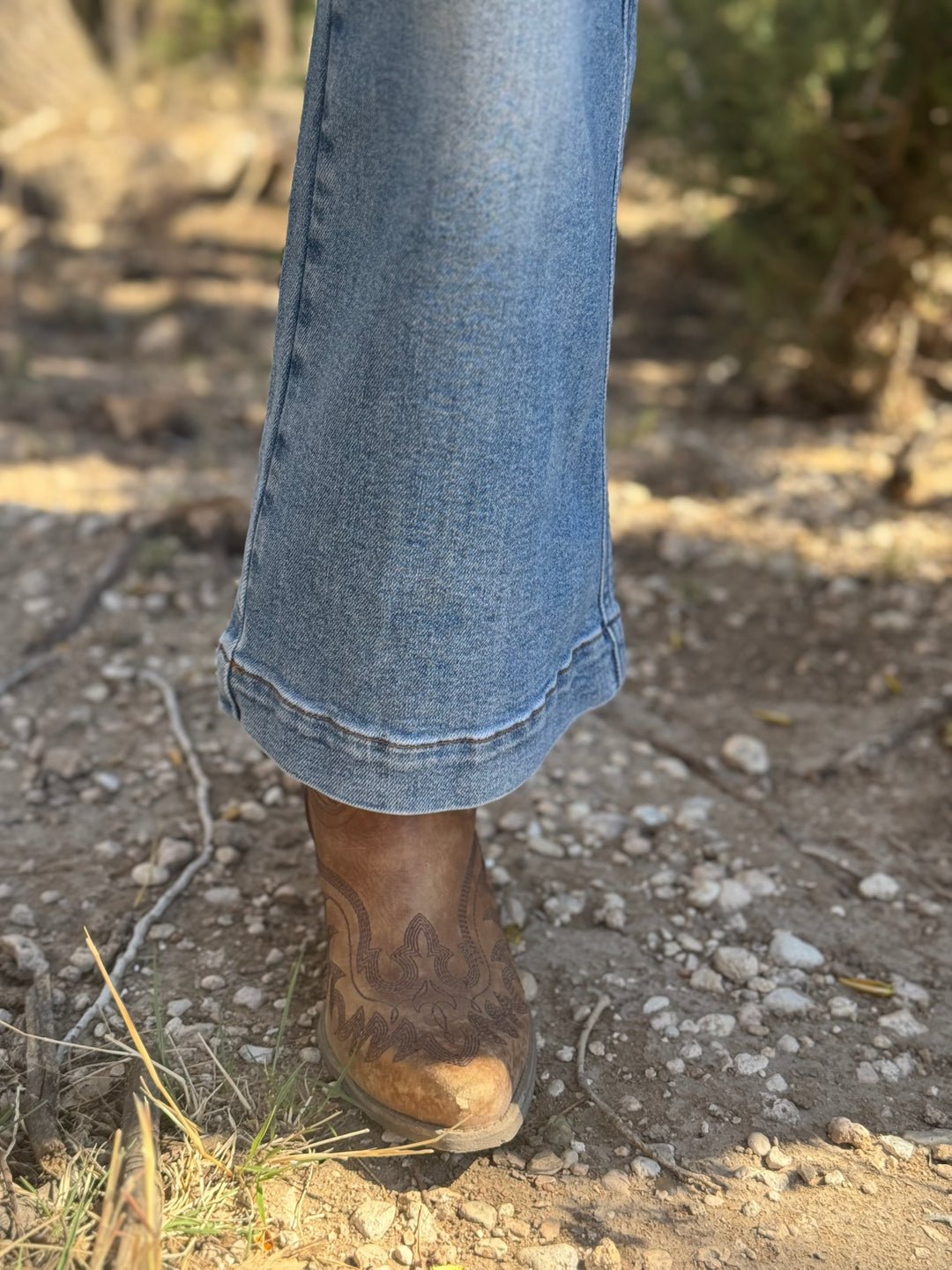 Daisy Ankle Wide Leg Jean by Judy Blue