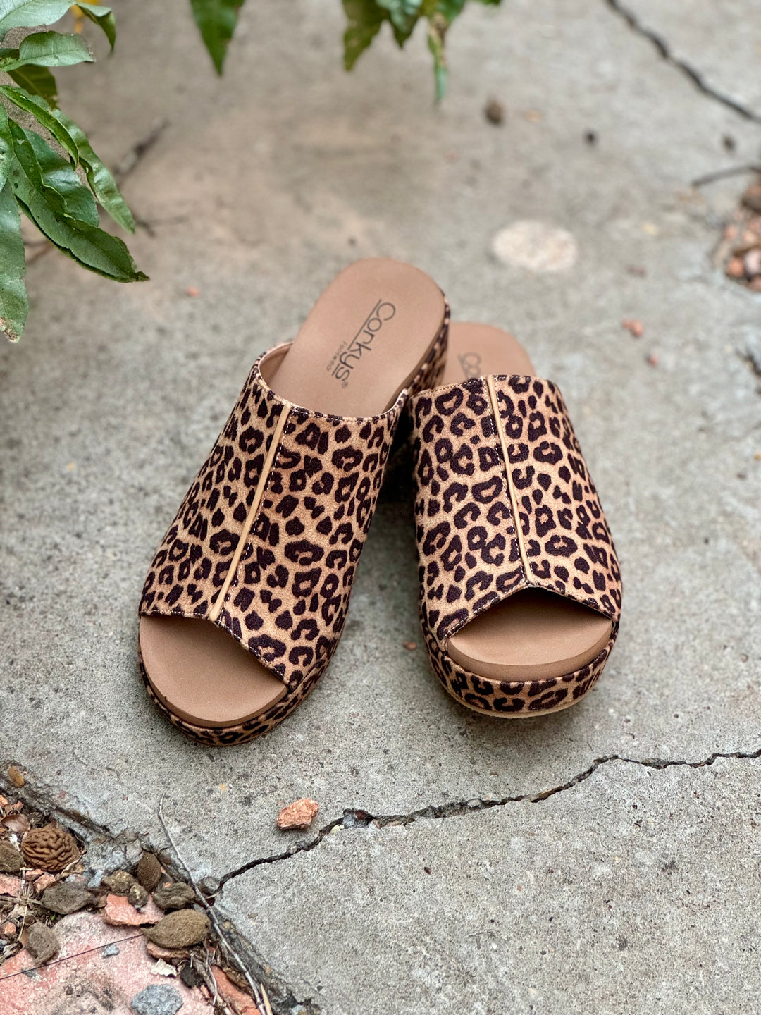 Take Notes Leopard Wedge by Corkys