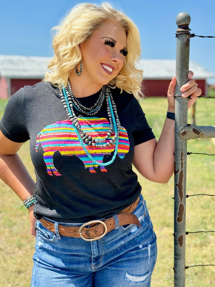 Serape Buffalo Graphic Tee by Texas True Threads