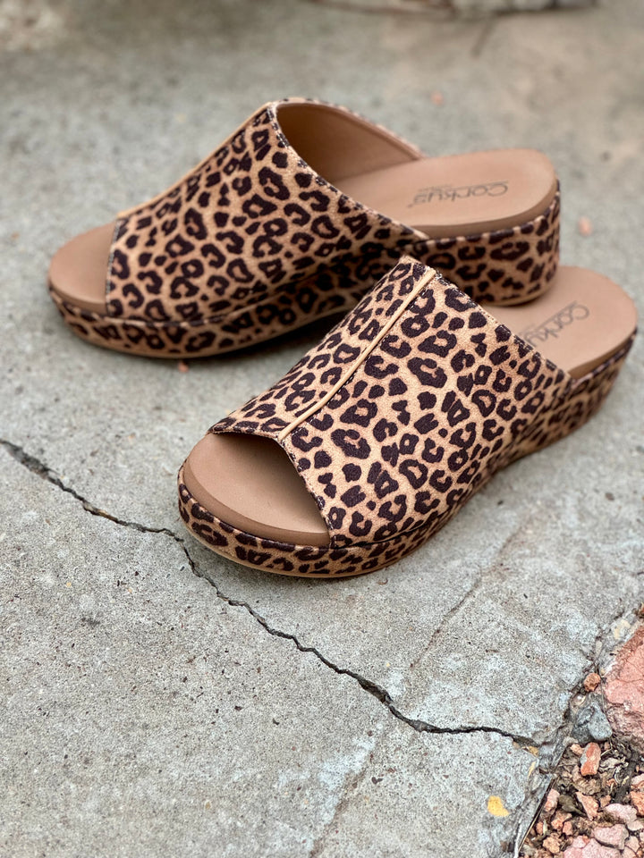 Take Notes Leopard Wedge by Corkys