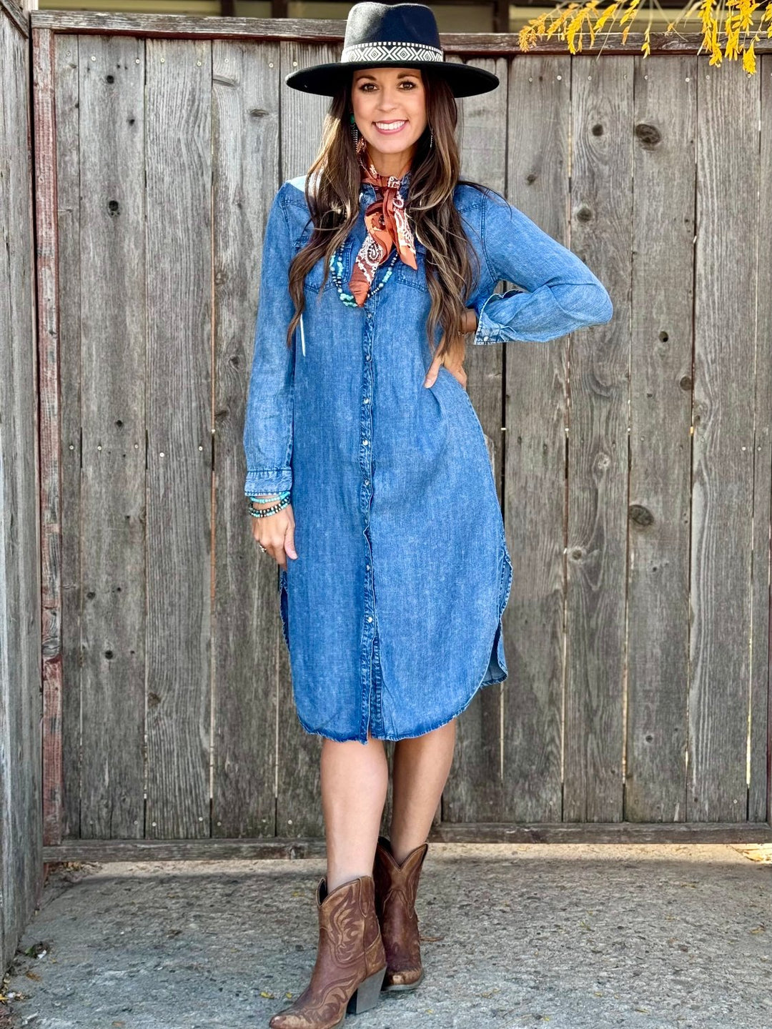 Lacee Denim Dress