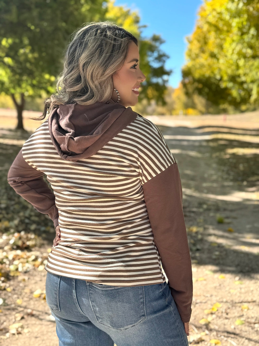 Ashlynn Brown & Cream Striped Pullover