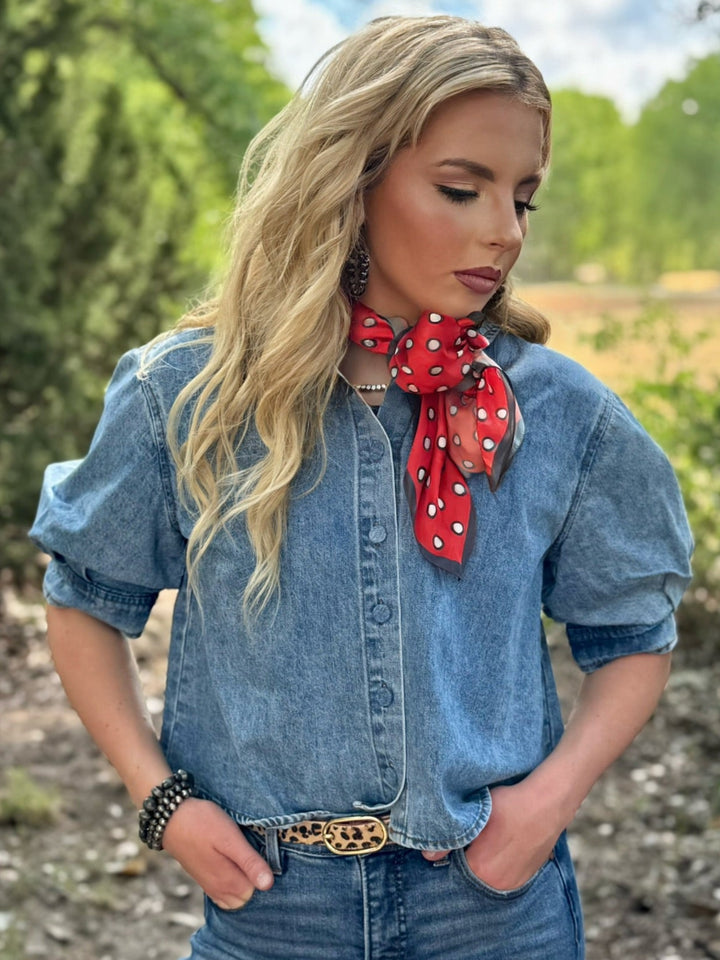 Dakota Denim Top