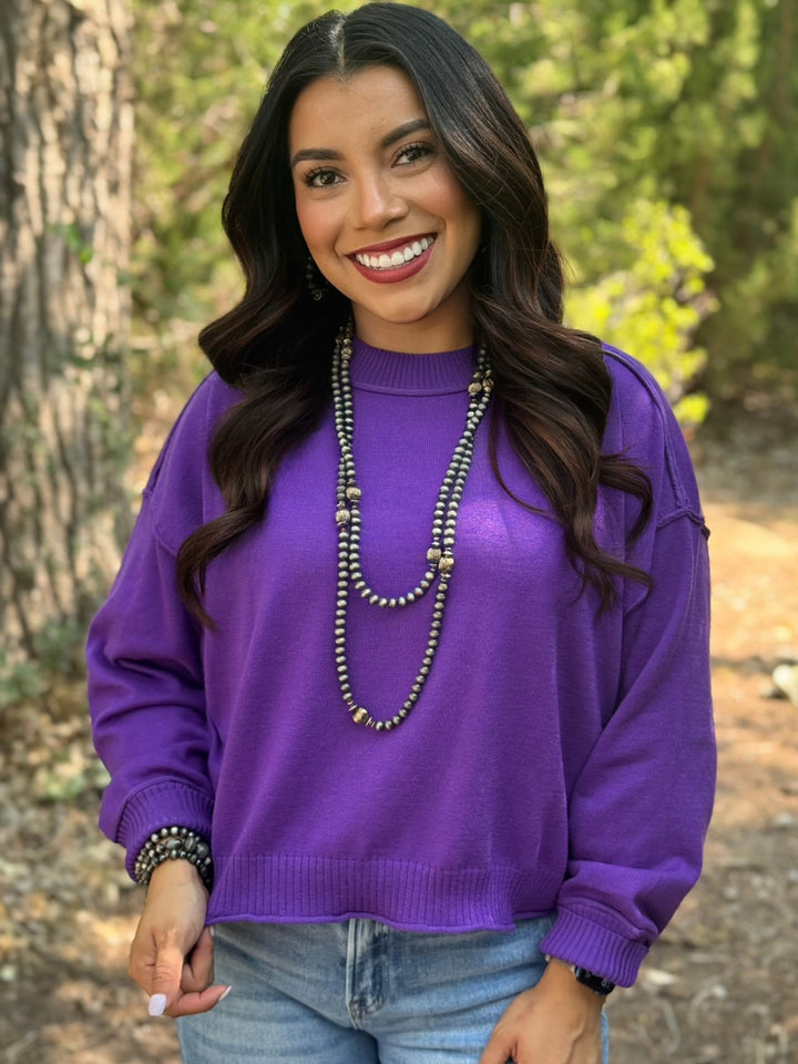 Bette Long Sleeve Purple Sweater