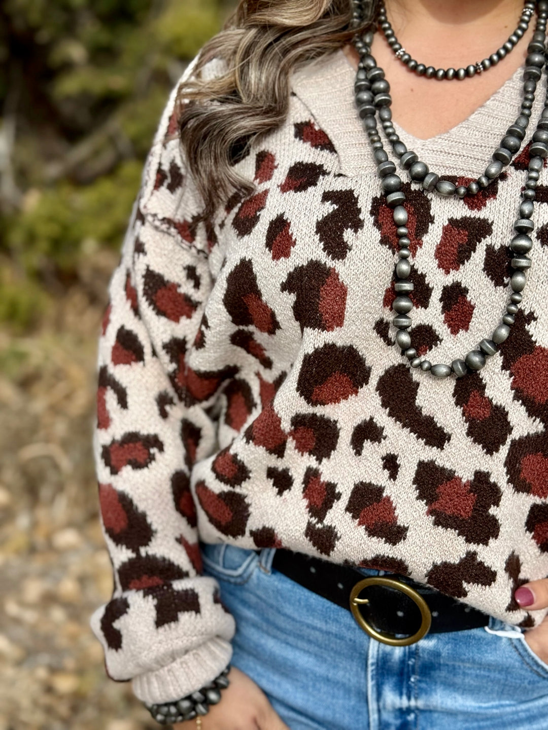 Addison Leopard V-Neck Sweater