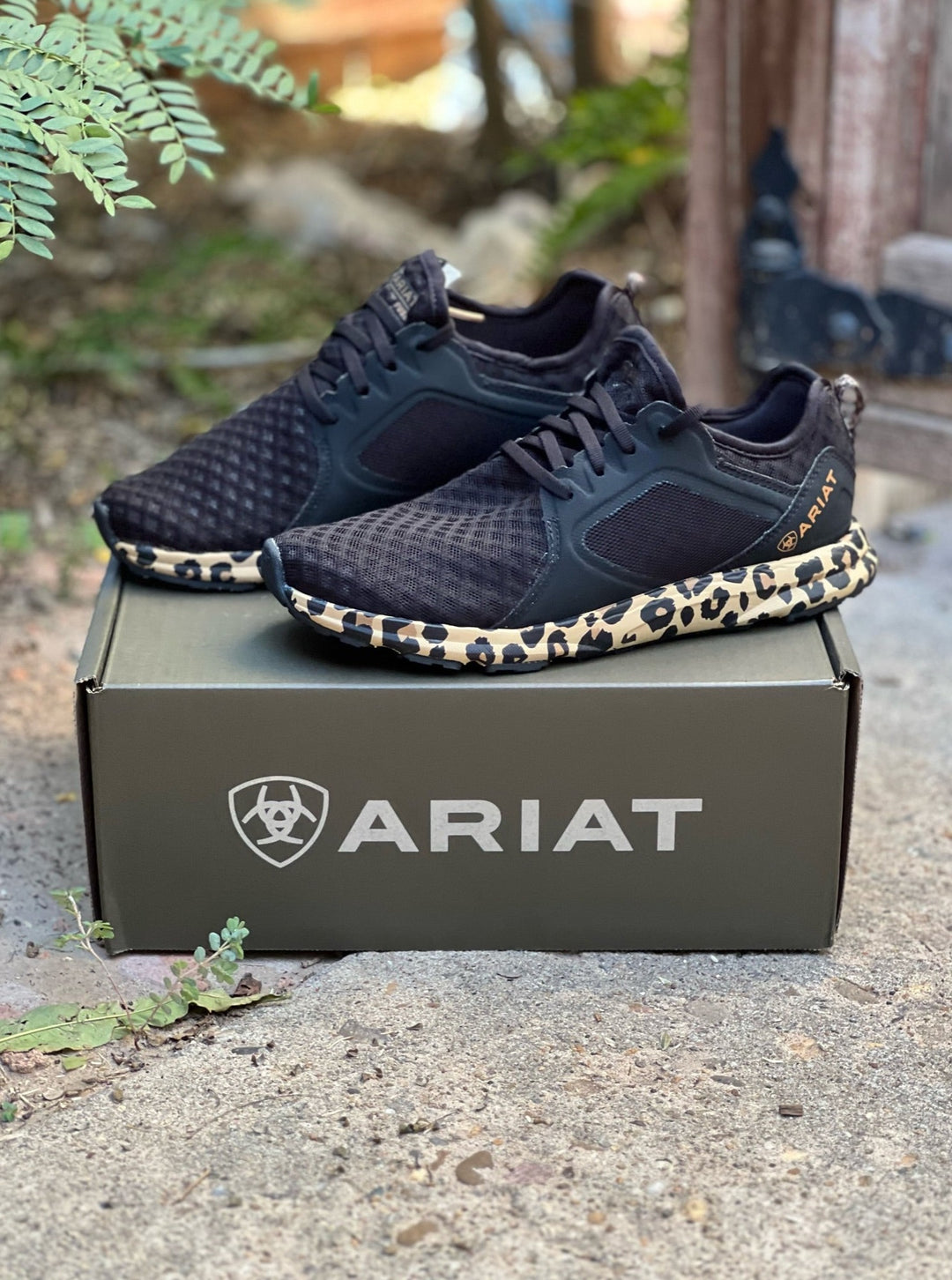 Fuse Black Leopard Sneaker by Ariat