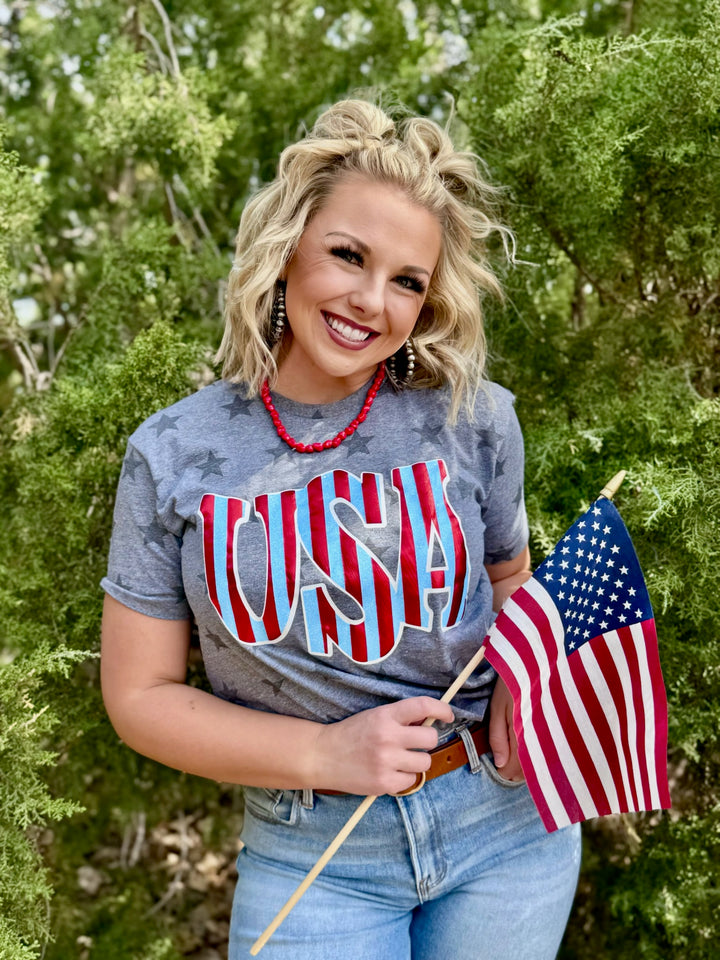 Striped USA Graphic Tee by Texas True Threads