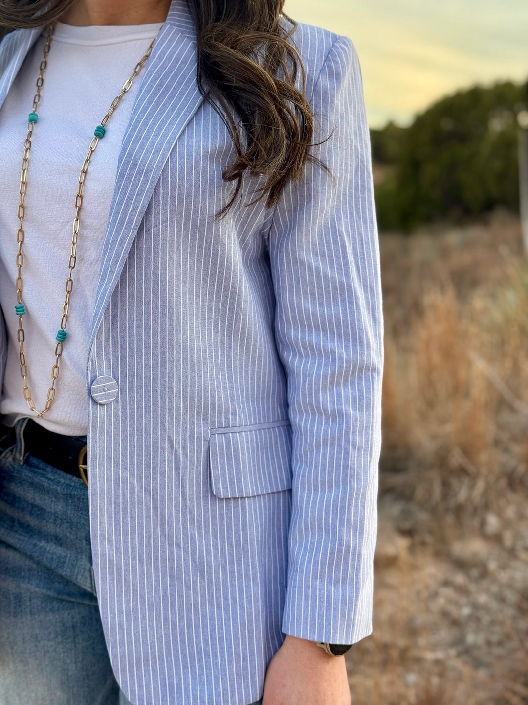 Skies Are Blue Pinstripe Blazer