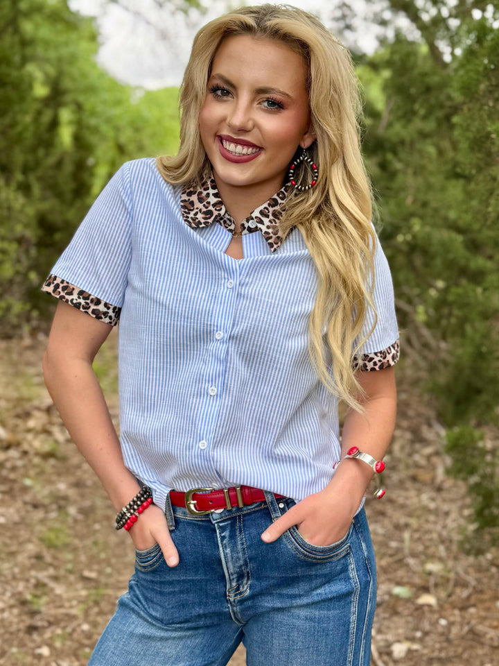 Sky Blue Stripe with Leopard Collar Top