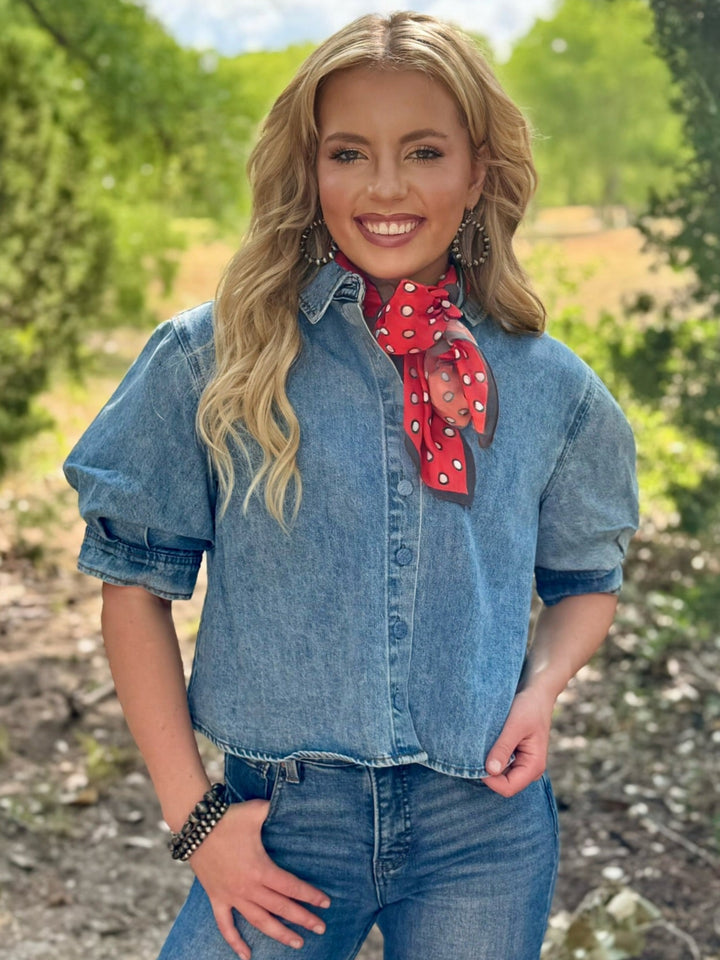 Dakota Denim Top