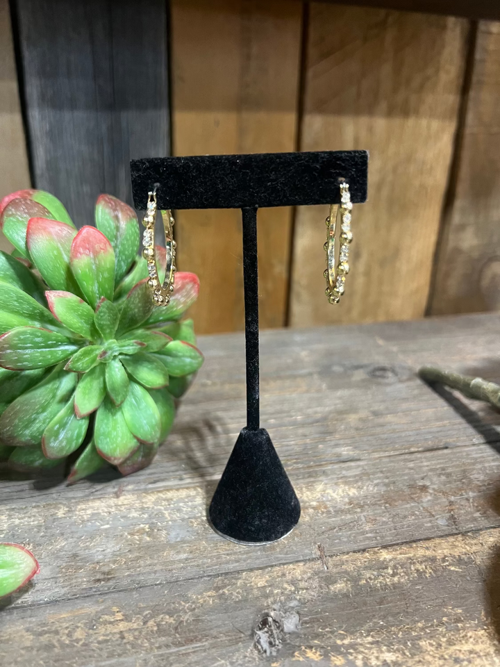 Aylih Gold & Crystal Hoops