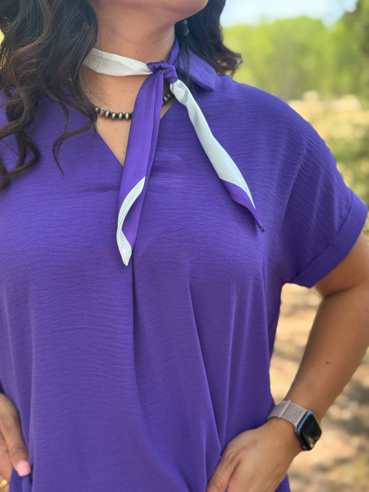 Game Day Twilly Scarf