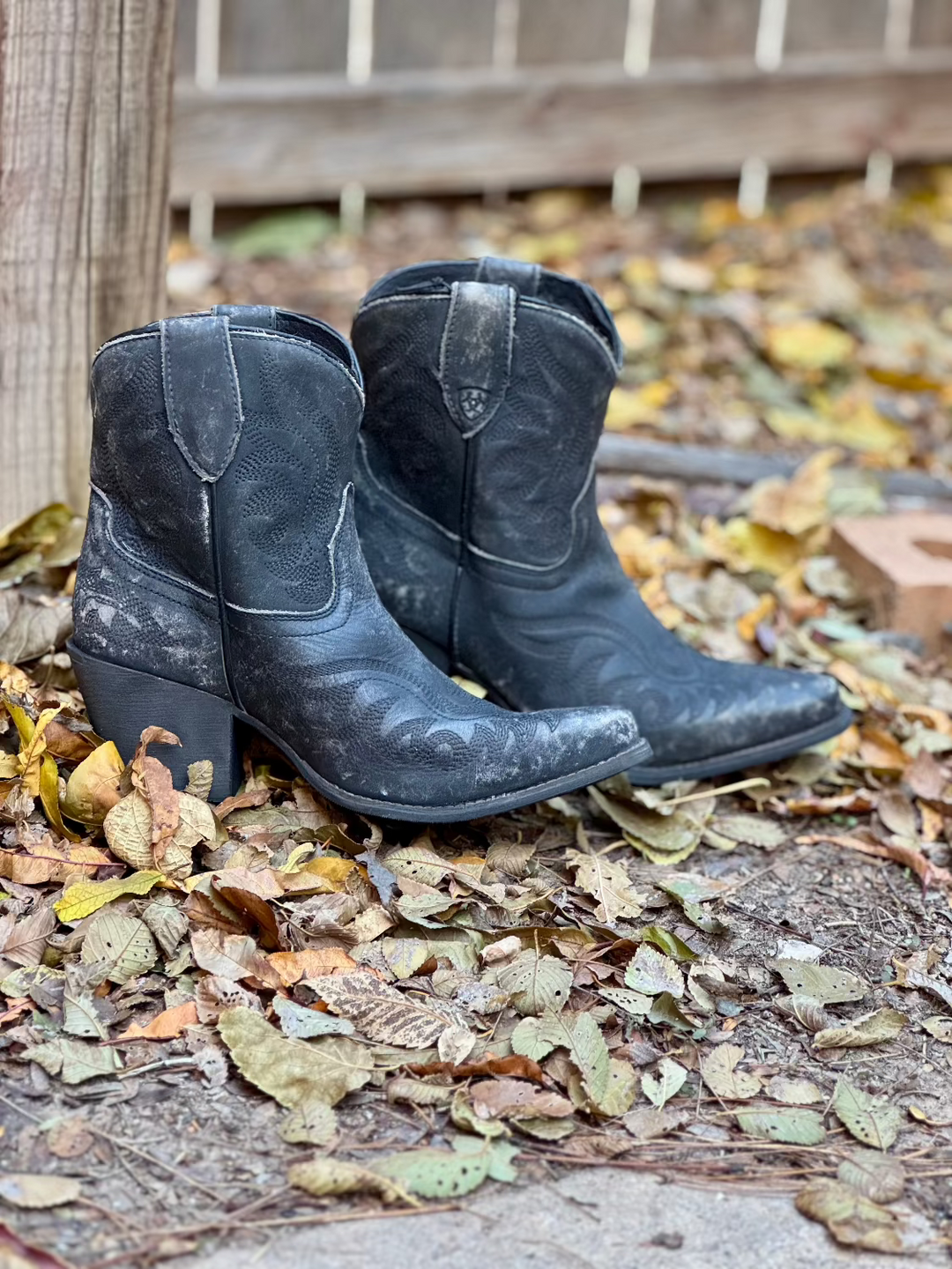 Chandler Booties by Ariat