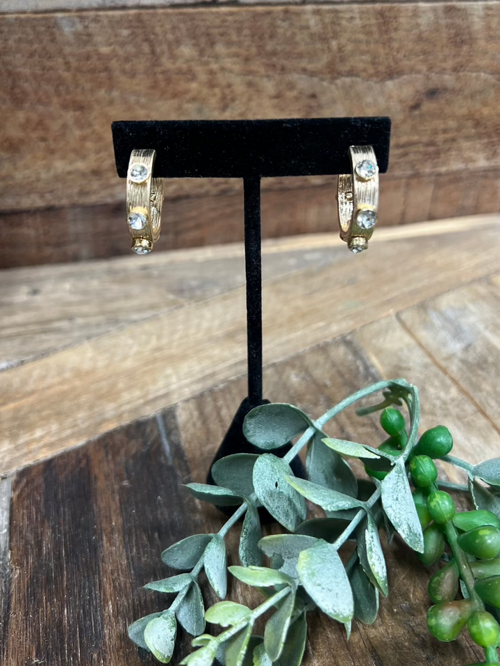 Sergio Gold Hoop Earrings with Crystals