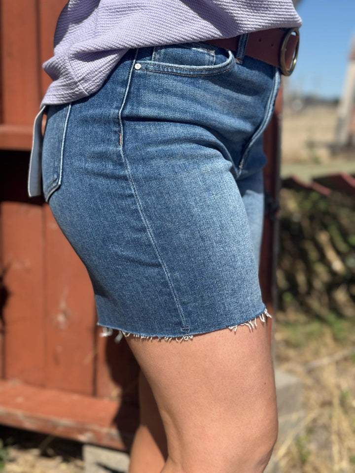 Albany Denim Shorts by Risen