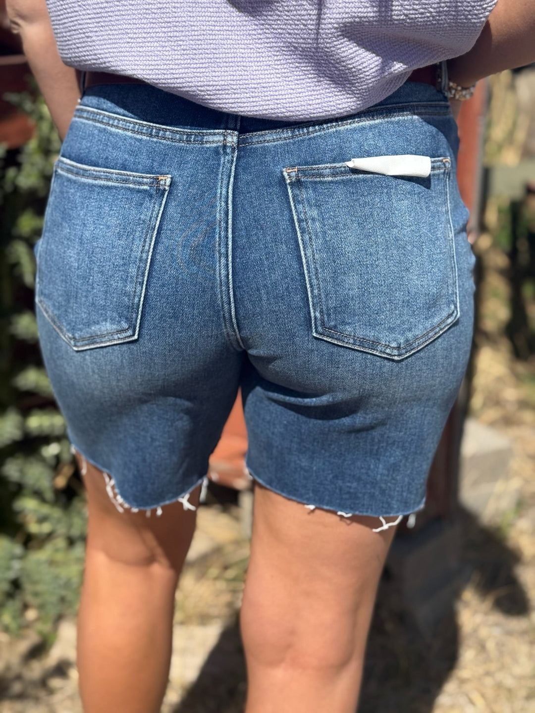 Albany Denim Shorts by Risen