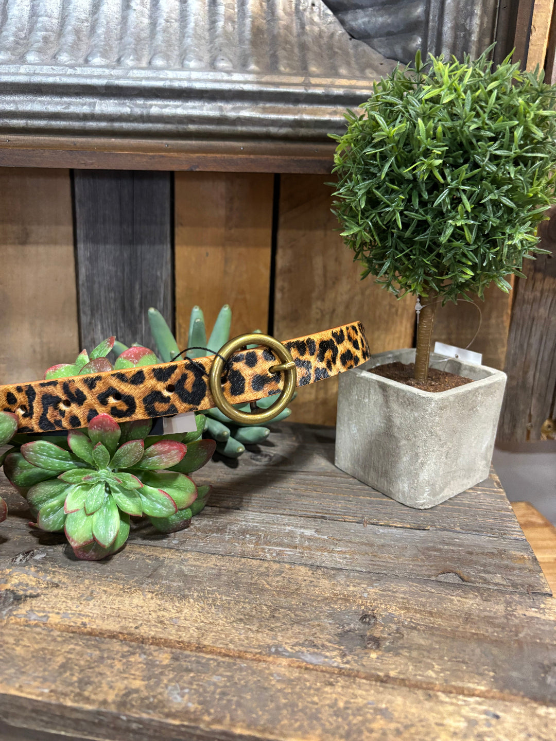 Skylar Skinny Belt