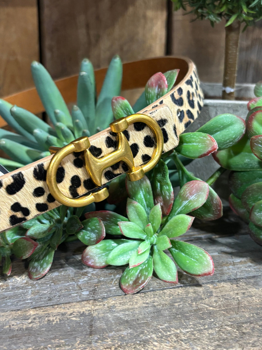 Horse Bit Leopard Skinny Belt