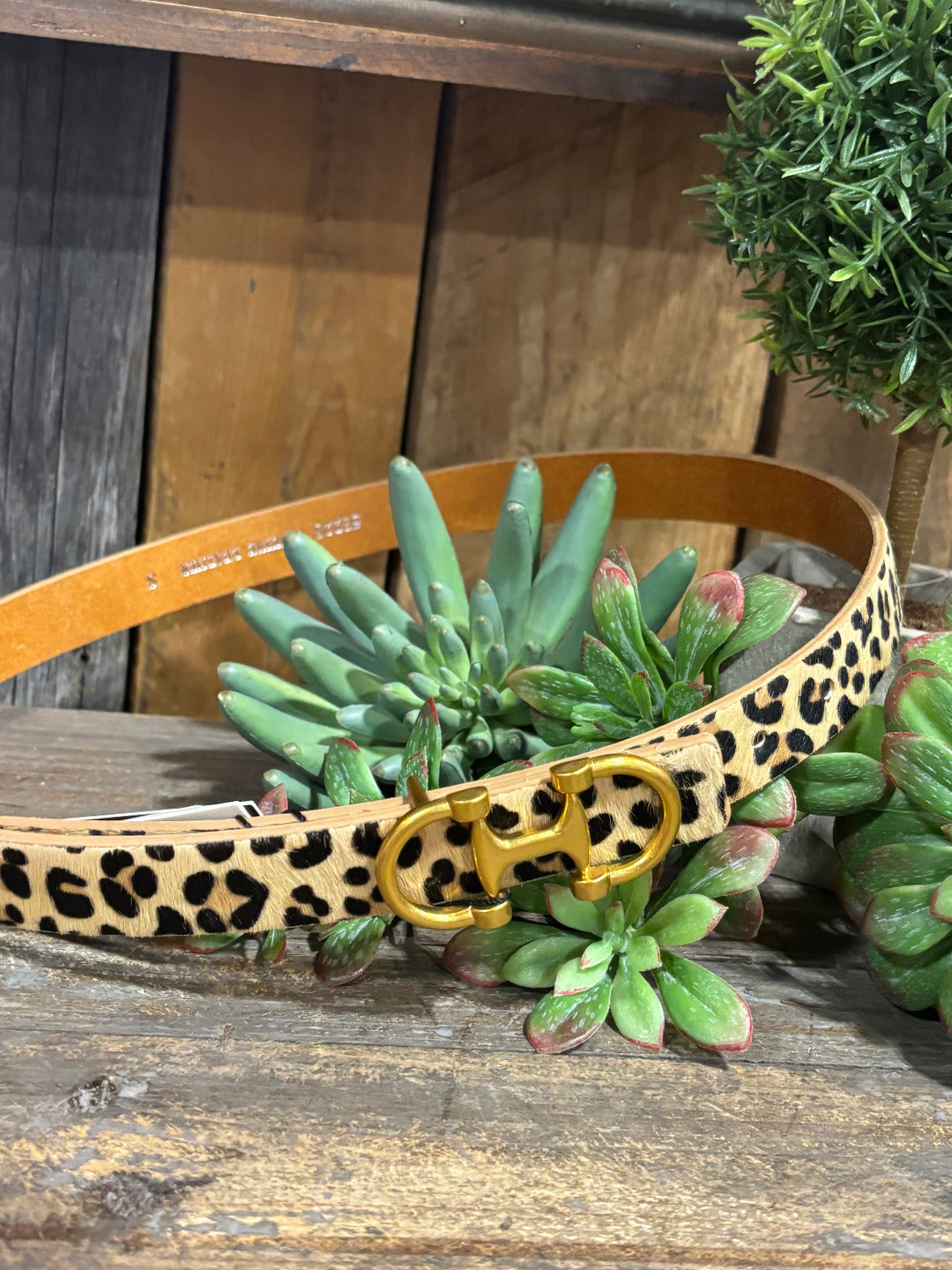 Horse Bit Leopard Skinny Belt