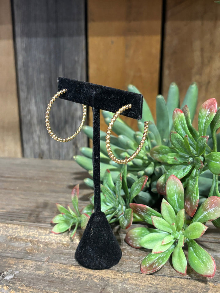 Ruth Hoop Earrings