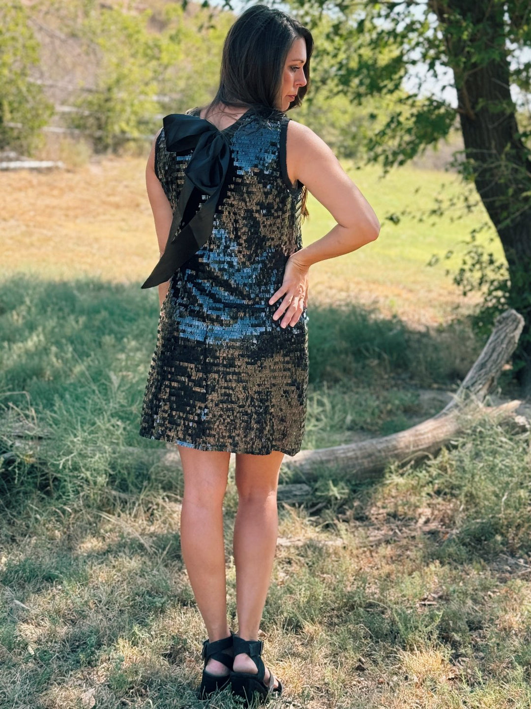 Brittany Black Sequin Dress