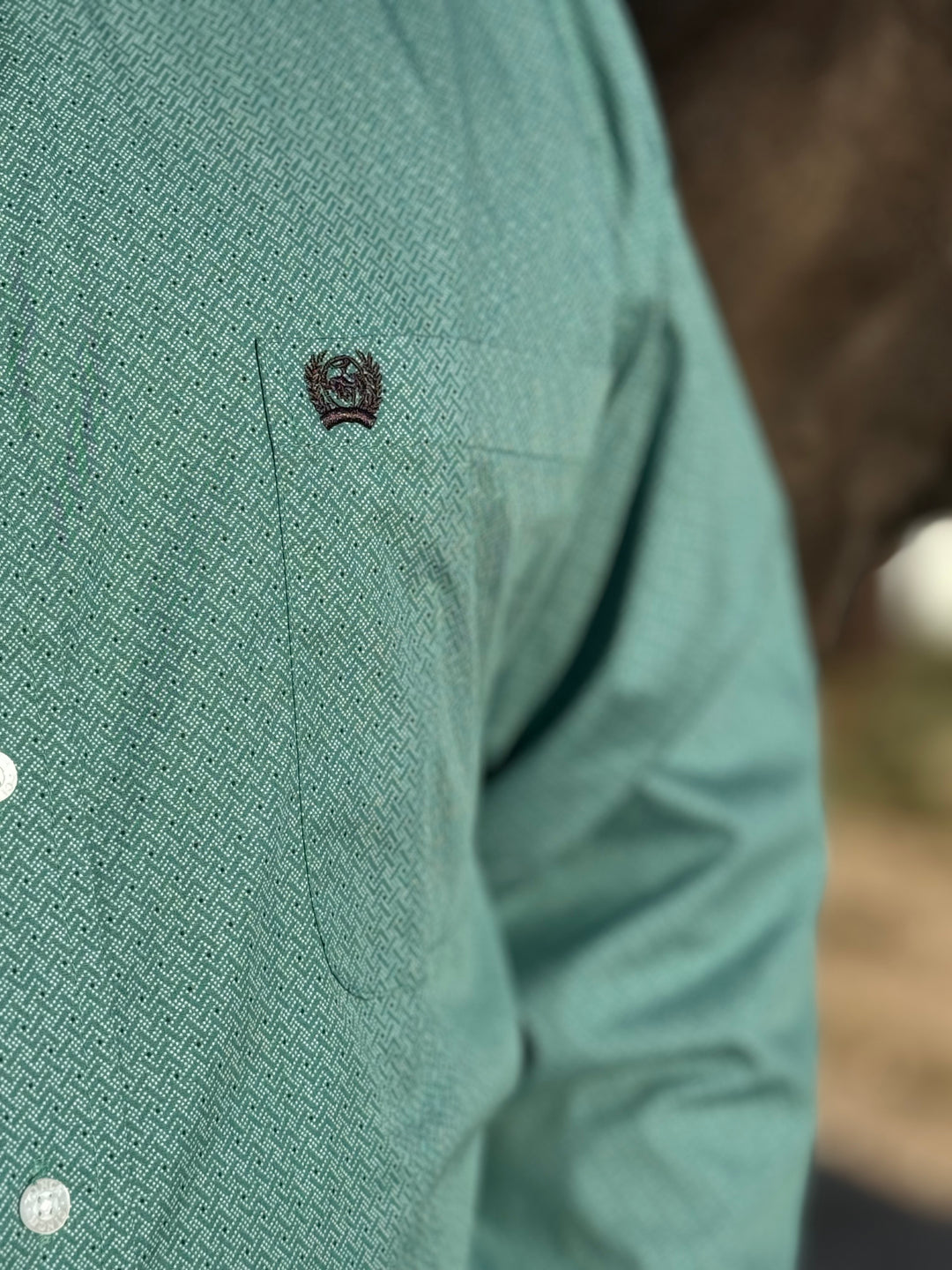 Jhett Sea Green Button Down Shirt by Cinch