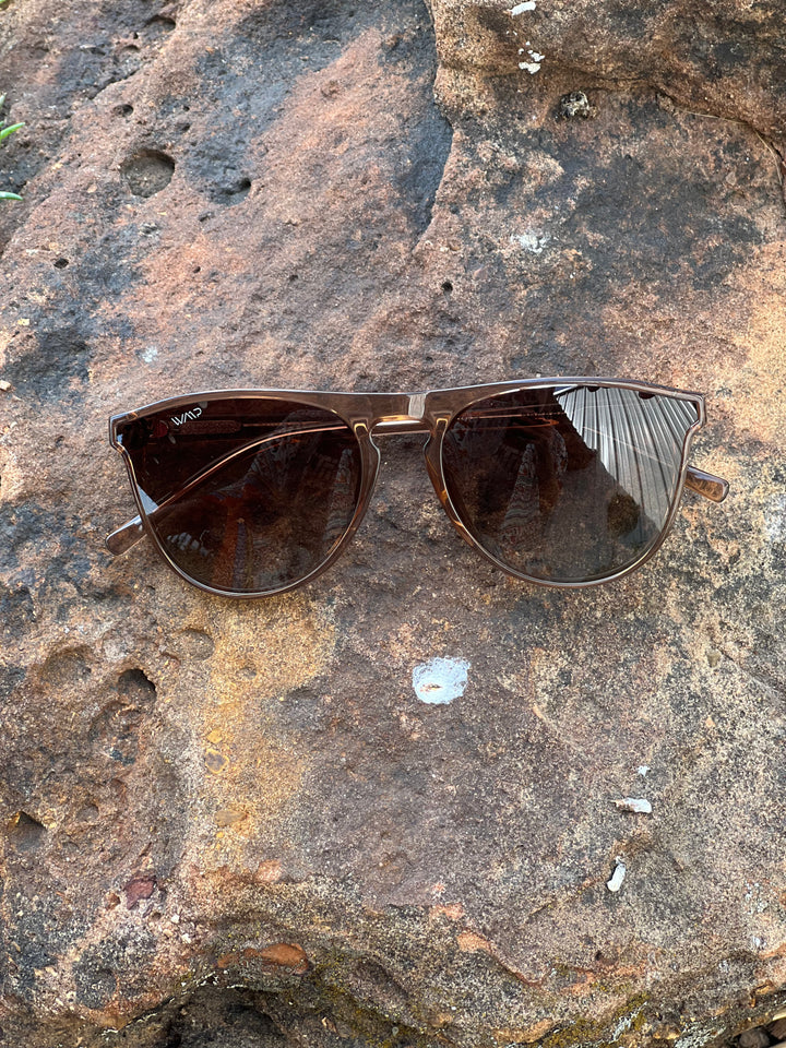 Prescott Crystal Brown/ Brown Gradient Lens Sunglasses