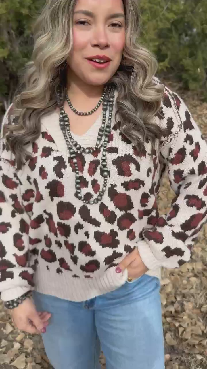 Addison Leopard V-Neck Sweater